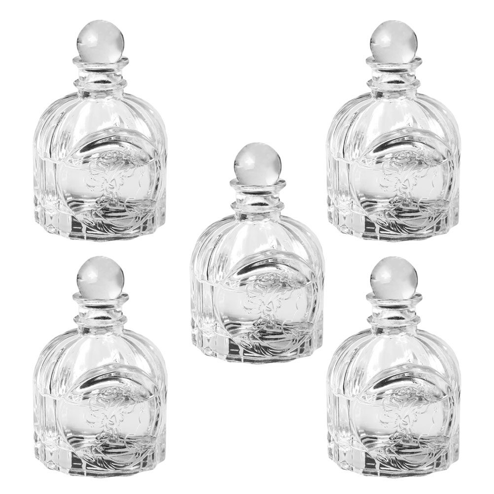 Perfume Fragrance Diffuser - 5 conjuntos de garrafas transparentes de