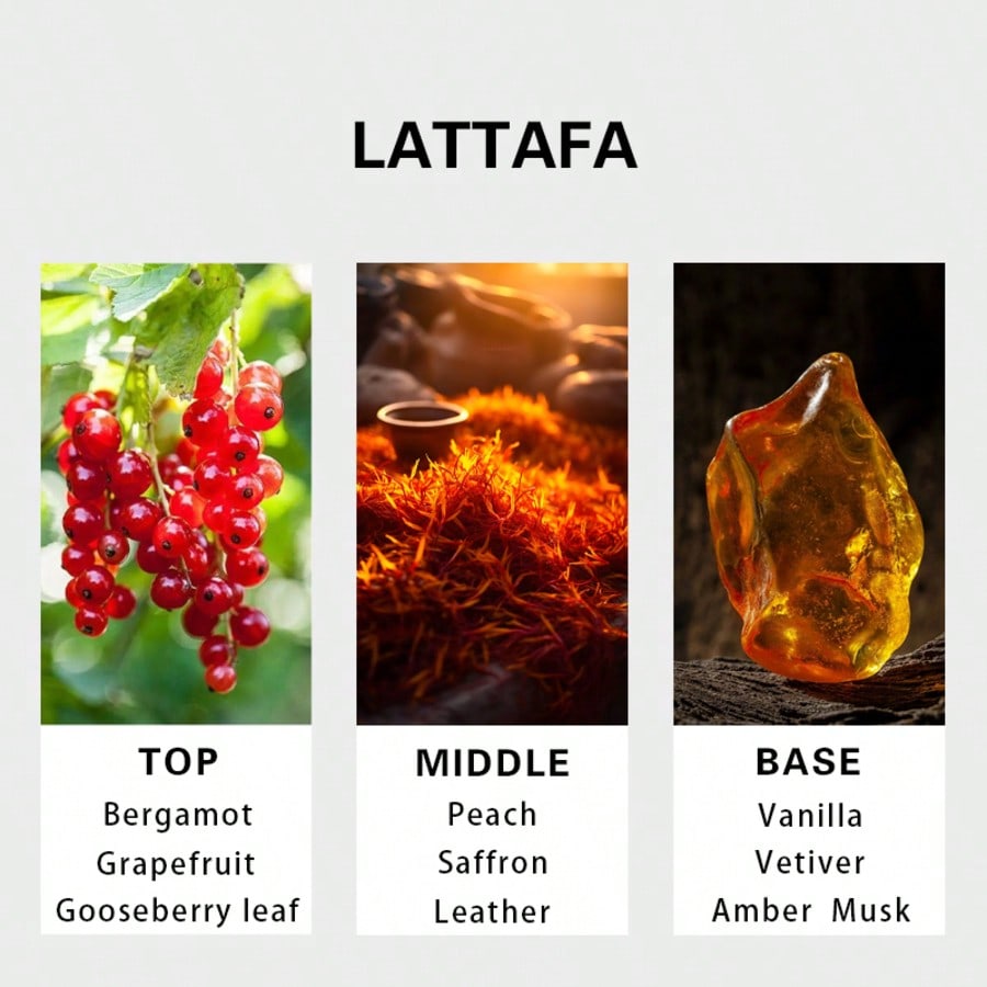 Hayaati Gold Elixir Masculino  - Fragrance Perfume Usa avaliação e preço