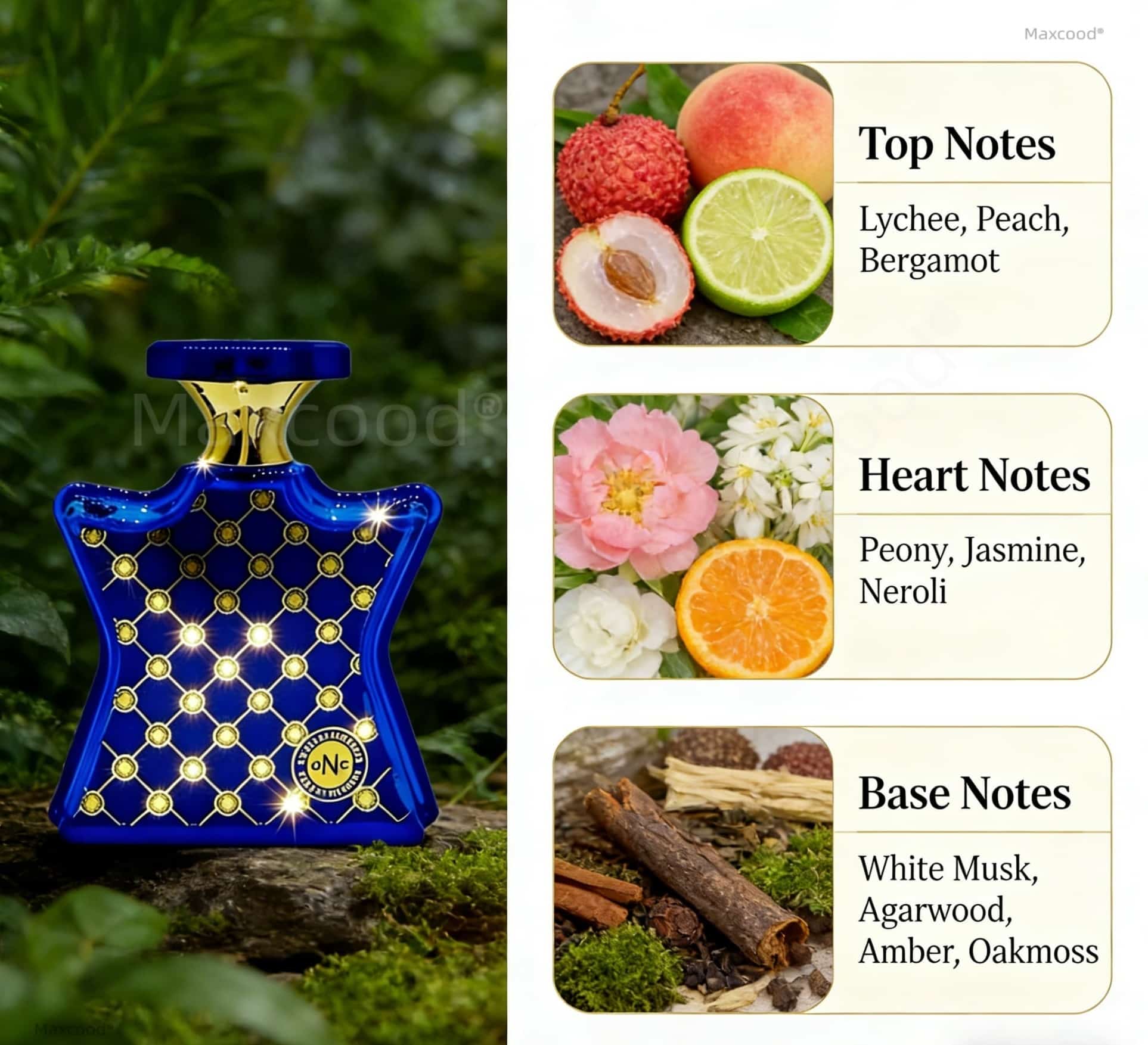 Perfume Cítrico e Floral de Lo - Perfume Fragrance Dupe avaliação e preço