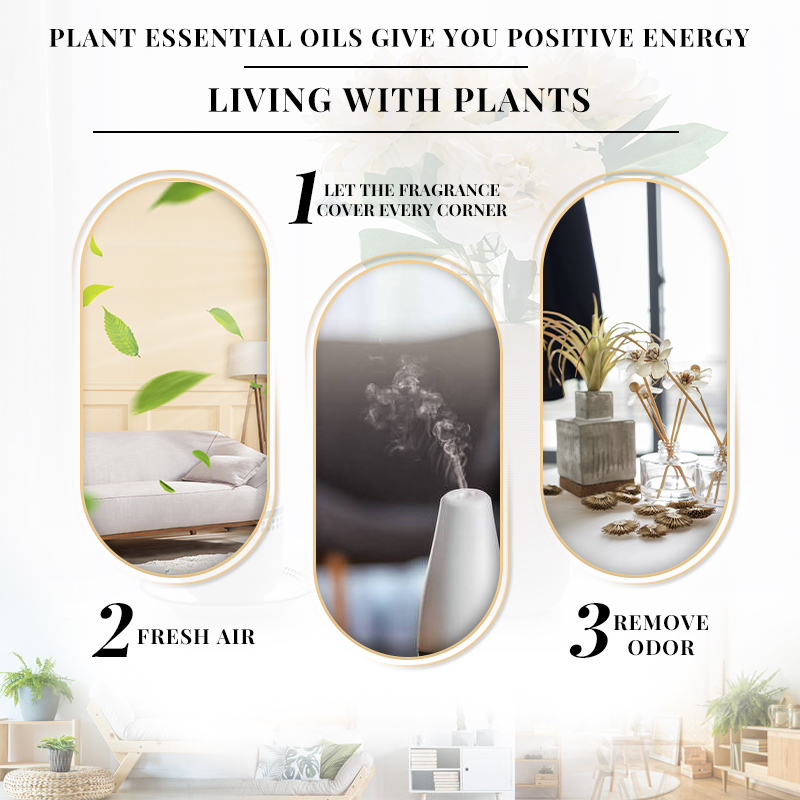 Óleo Essencial EVOKE Jasmine F - Perfume Fragrance Enhancer avaliação e preço